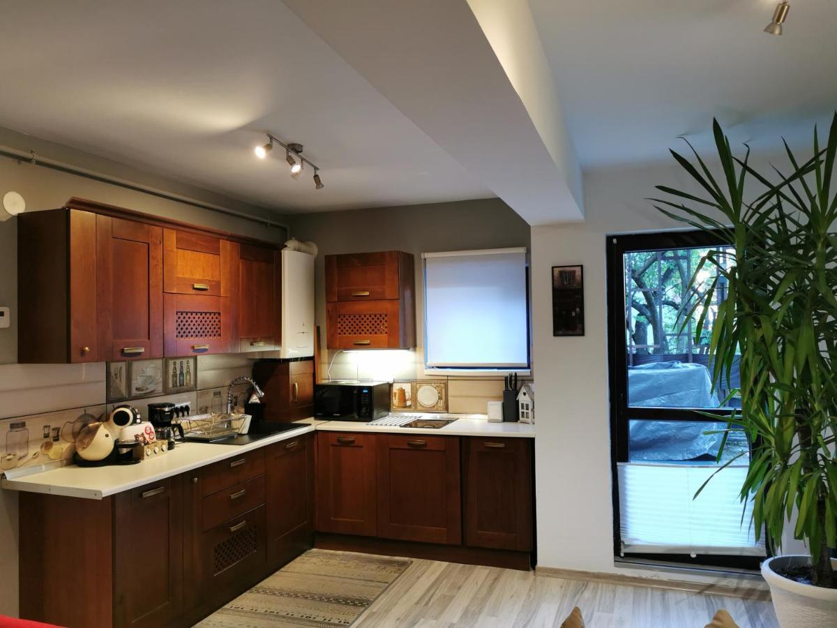 Apartament Kalinderu K2 Buşteni Buitenkant foto