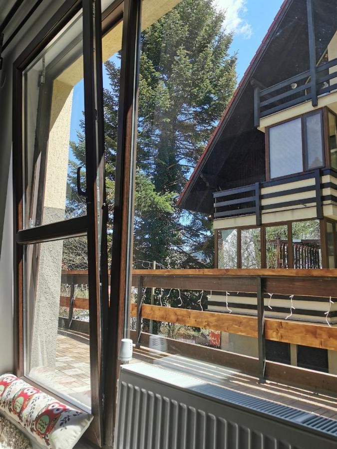 Apartament Kalinderu K2 Buşteni Buitenkant foto