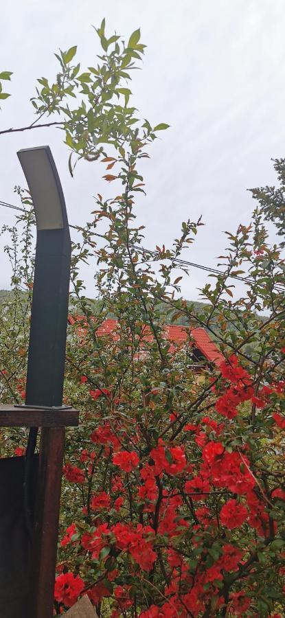 Apartament Kalinderu K2 Buşteni Buitenkant foto