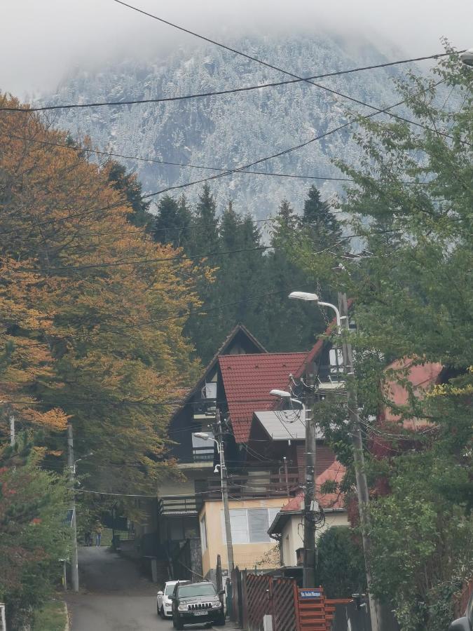 Apartament Kalinderu K2 Buşteni Buitenkant foto