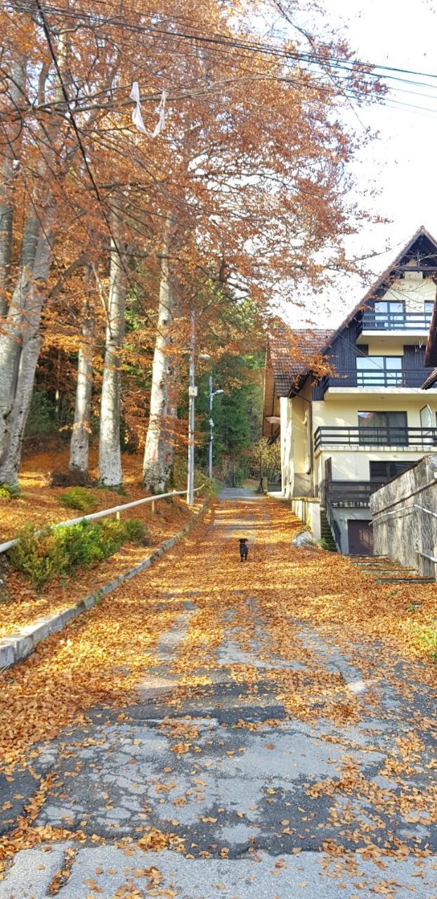 Apartament Kalinderu K2 Buşteni Buitenkant foto