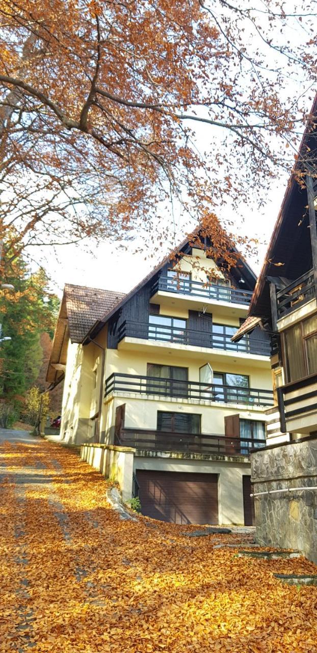 Apartament Kalinderu K2 Buşteni Buitenkant foto