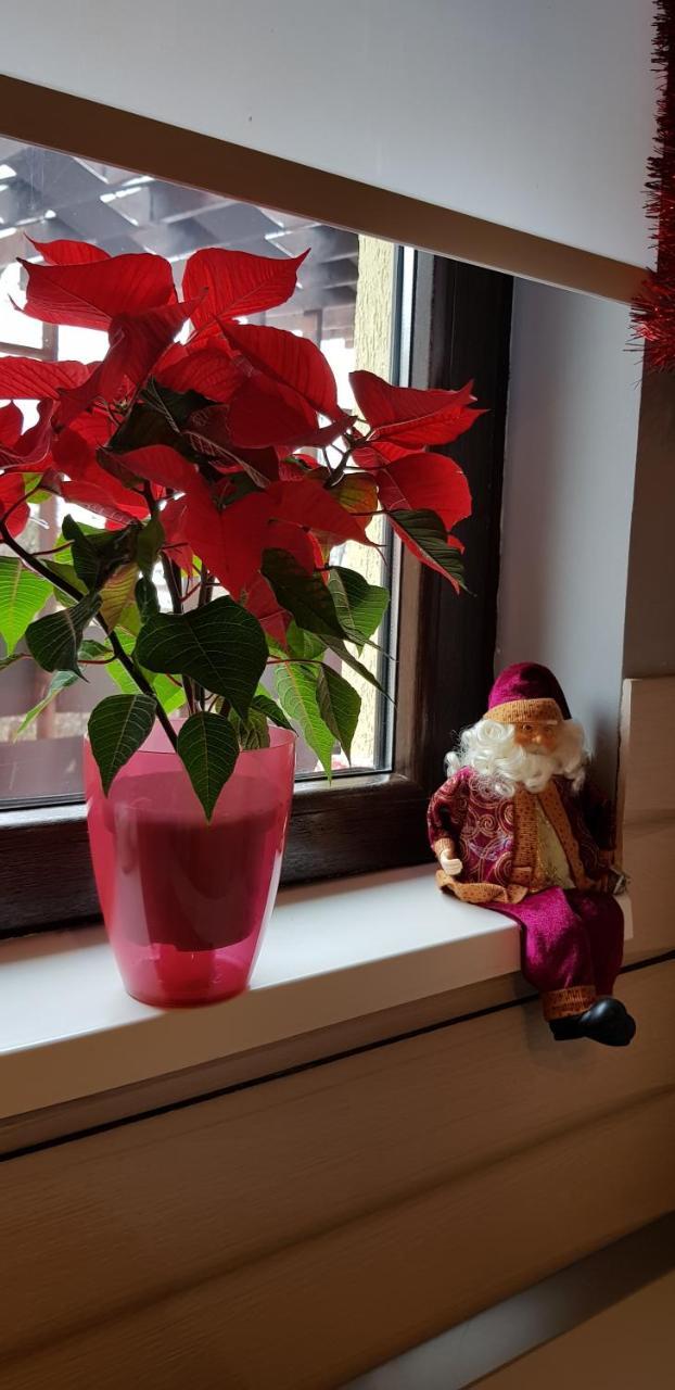 Apartament Kalinderu K2 Buşteni Buitenkant foto